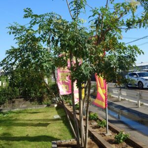 すっきりとしました｜ありがとう日記｜幸せ夢工場｜