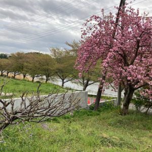 癒し・・・｜ありがとう日記｜幸せ夢工場｜