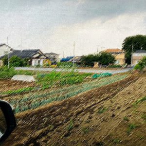 【土地下見の途中で】｜ありがとう日記｜幸せ夢工場｜