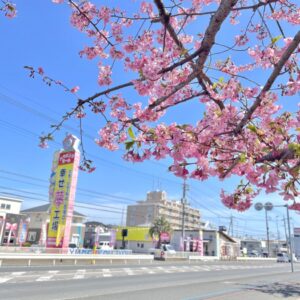 春🌸｜ありがとう日記｜幸せ夢工場｜