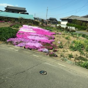 春ですね～！！｜ありがとう日記｜幸せ夢工場｜