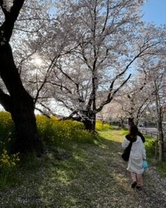 桜まつり！！｜ありがとう日記｜幸せ夢工場｜