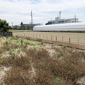 スタッフ作業！！！｜ありがとう日記｜幸せ夢工場｜