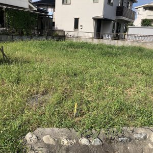 夢工場にお越しください。｜ありがとう日記｜幸せ夢工場｜