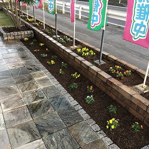 植えかえました｜ありがとう日記｜幸せ夢工場｜