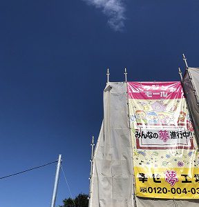 良い天気にマッチしてます。｜ありがとう日記｜幸せ夢工場｜