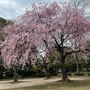 パワースポットに行ってきました。｜ありがとう日記｜幸せ夢工場｜