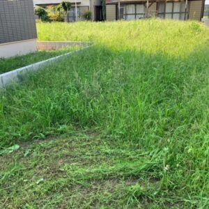 夏そして草｜ありがとう日記｜幸せ夢工場｜